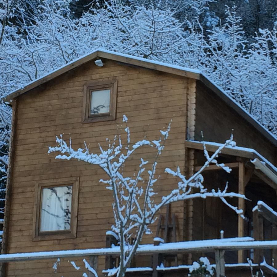 Gites Les Chalets Vezzani Spa Exteriér fotografie
